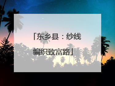 东乡县：纱线编织致富路